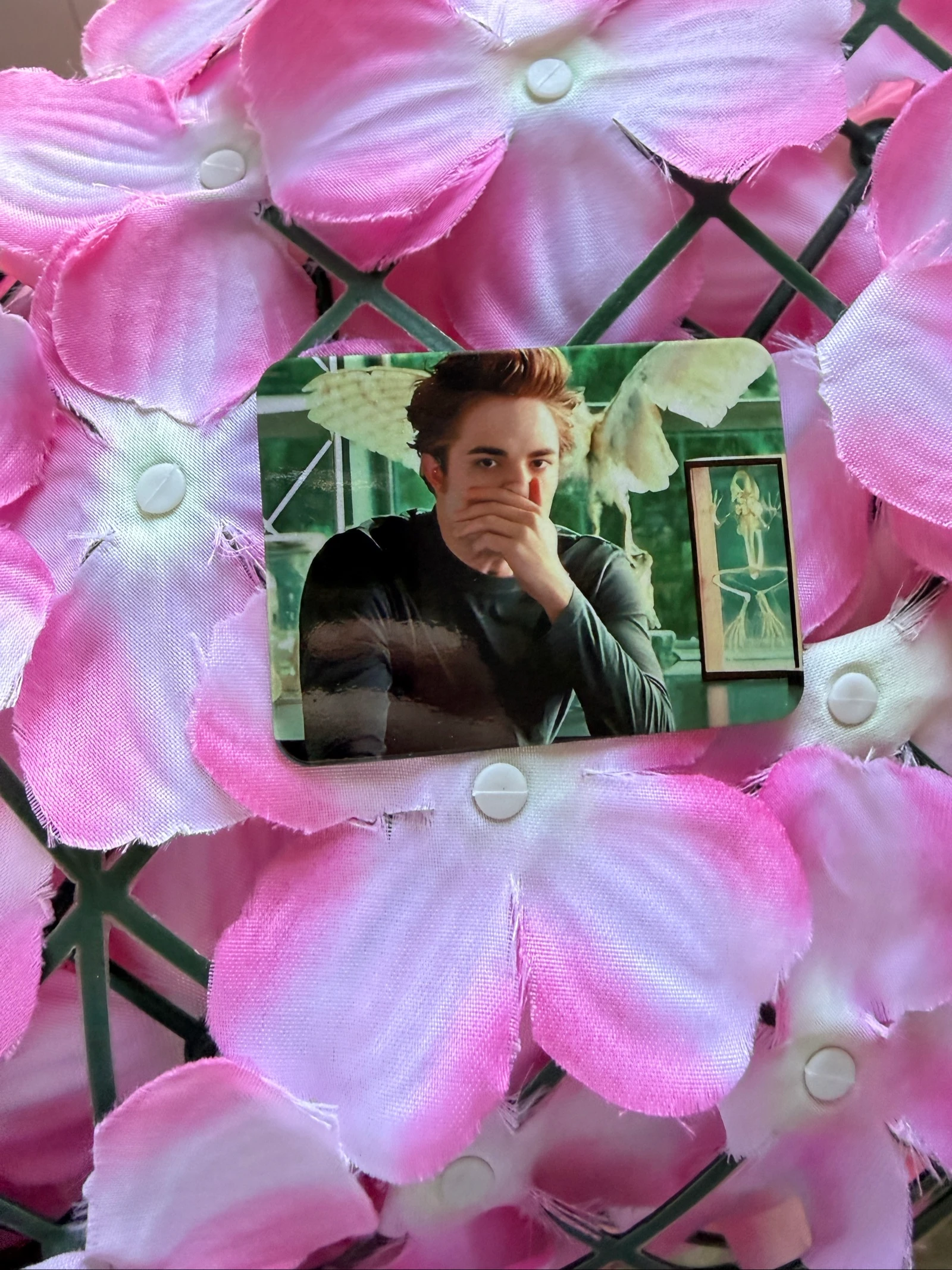 Imã Edward Cullen – photo 9